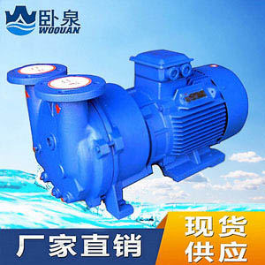 2BV型水環式真空泵
